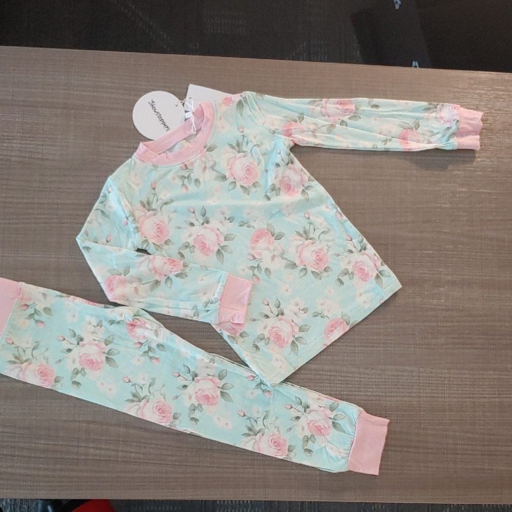 Bnwt Showstoppers 2T Teal Pink 2pc Floral Set Ls With Pants Girls